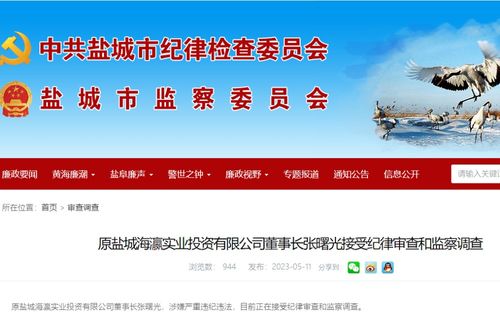 原鹽城海瀛實業投資董事長張曙光接受審查調查