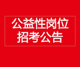 公益崗月薪3700 ,五險齊全的崗位來啦