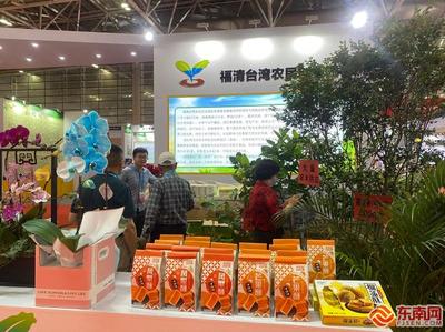 第二十五屆海交會:深化兩岸融合 建設第一家園