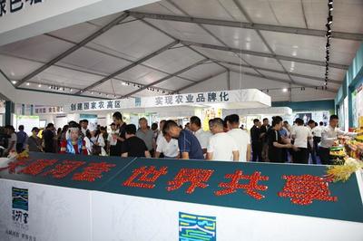 “天賦河套、世界共享” --巴彥淖爾優質農產品正式進軍全國市場