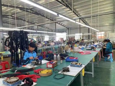 【聚力發展 苦干實干】襄陽宜城劉猴鎮:小線束帶來大財富