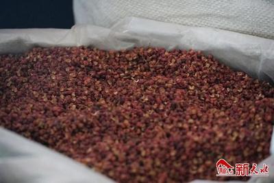 趙衛東帶隊在成都考察“花牛”蘋果銷售情況