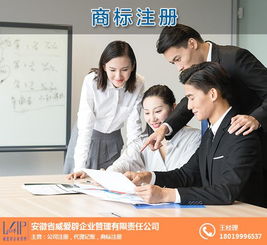 代理商標注冊 合肥商標注冊 威愛辟公司 查看