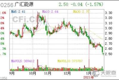 新疆廣匯實業投資 集團 有限責任公司孫廣信 工商 風險信息 天眼查