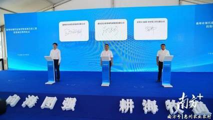 總投資17億元!惠州現代化海洋牧場項目動工并簽約5宗新項目