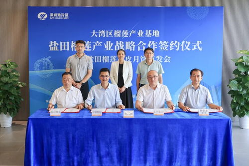 深圳鹽田區(qū)攜手企業(yè)啟動(dòng)百項(xiàng)可量產(chǎn)榴蓮衍生品研發(fā)與投資咨詢服務(wù)